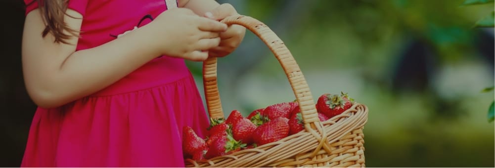 Illustration d'enfants jouant avec de la neige